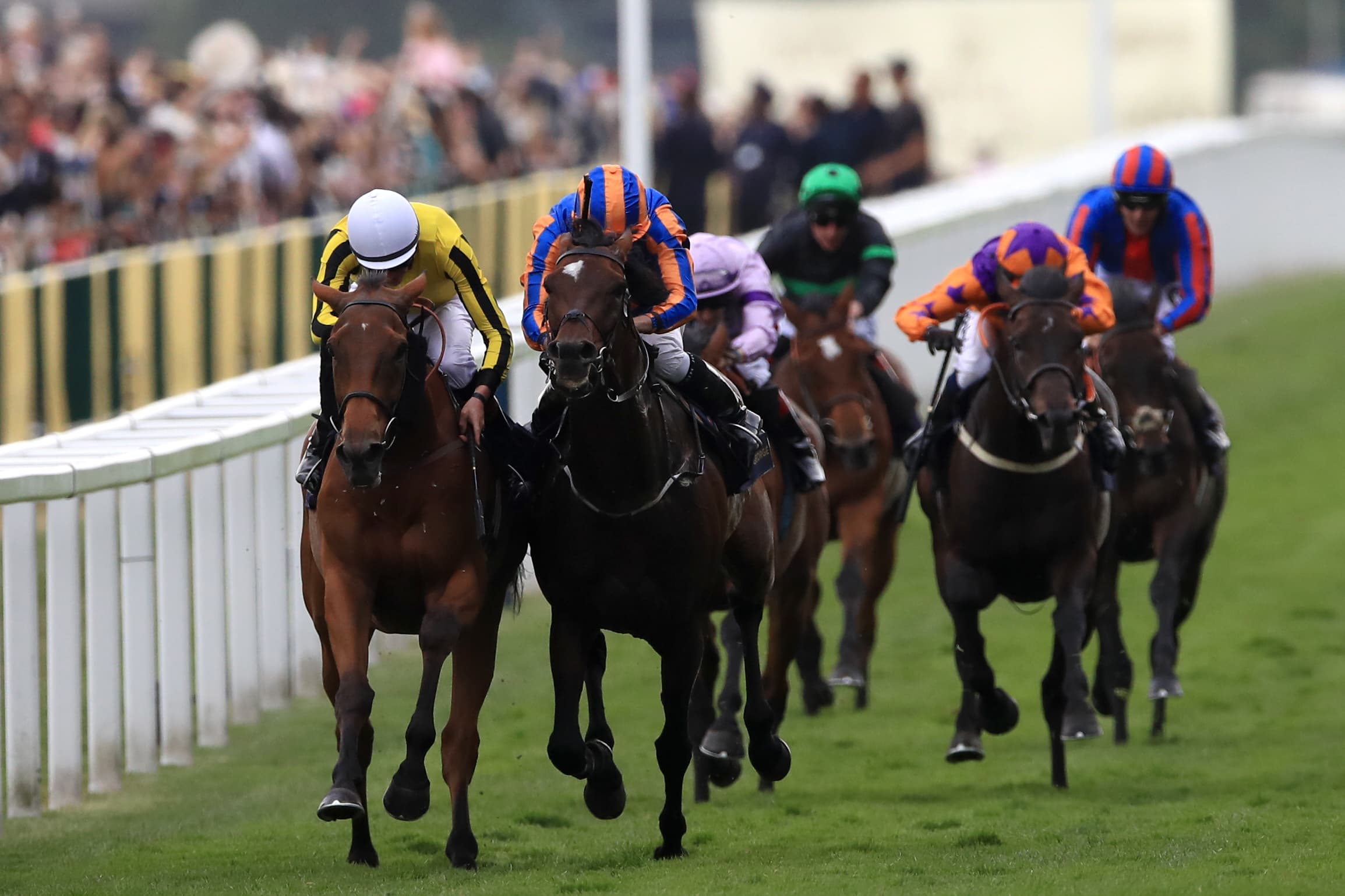 Horses To Follow For The Flat Season