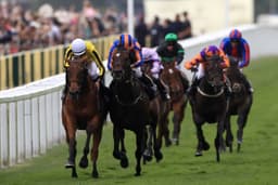Horses To Follow For The Flat Season image