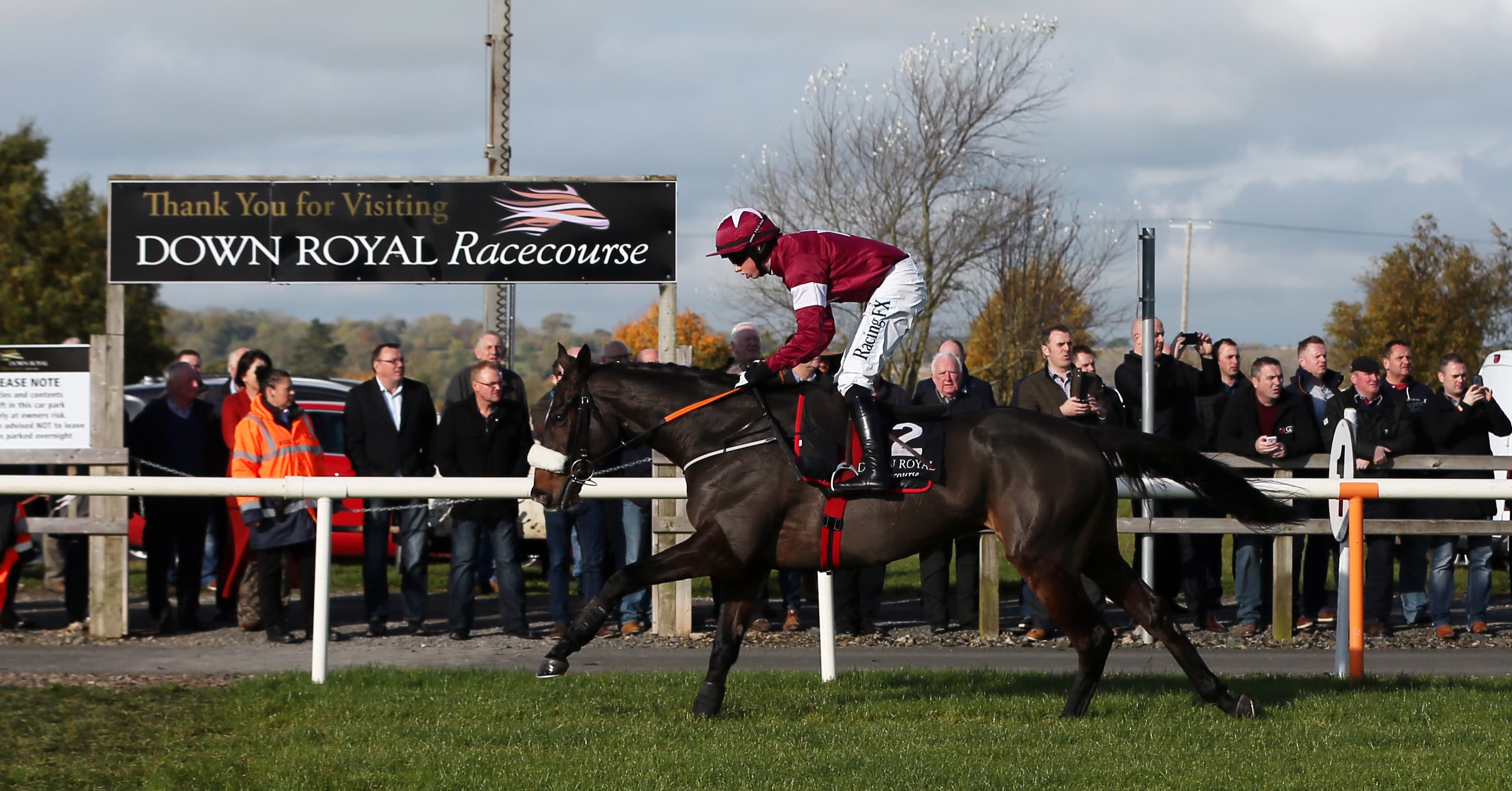 Down Royal Friday Preview