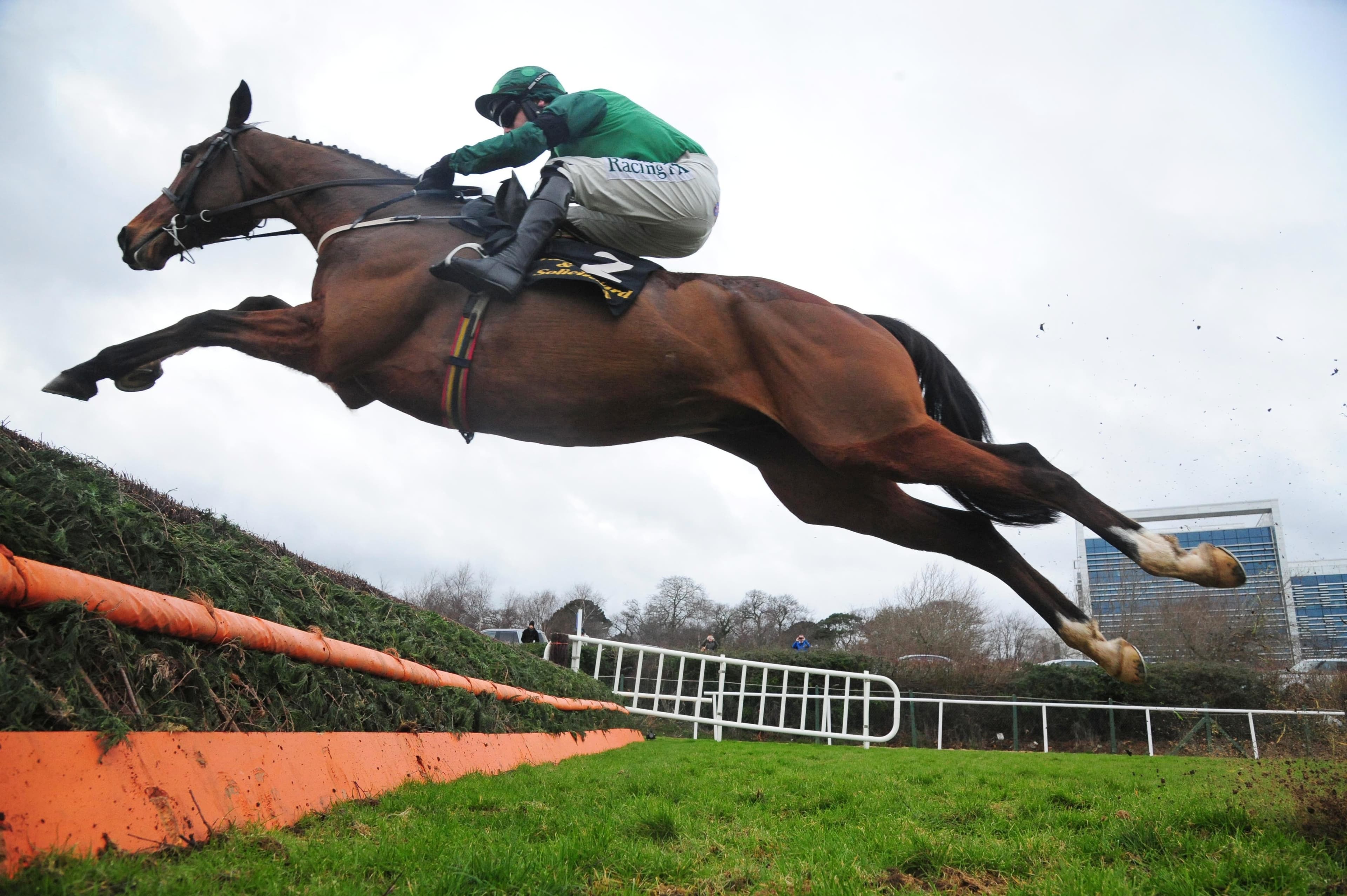 Wetherby Saturday Preview