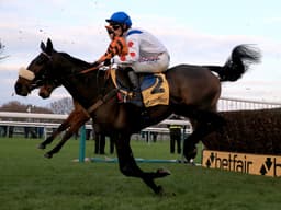 Who To Follow At Kempton On Sunday image
