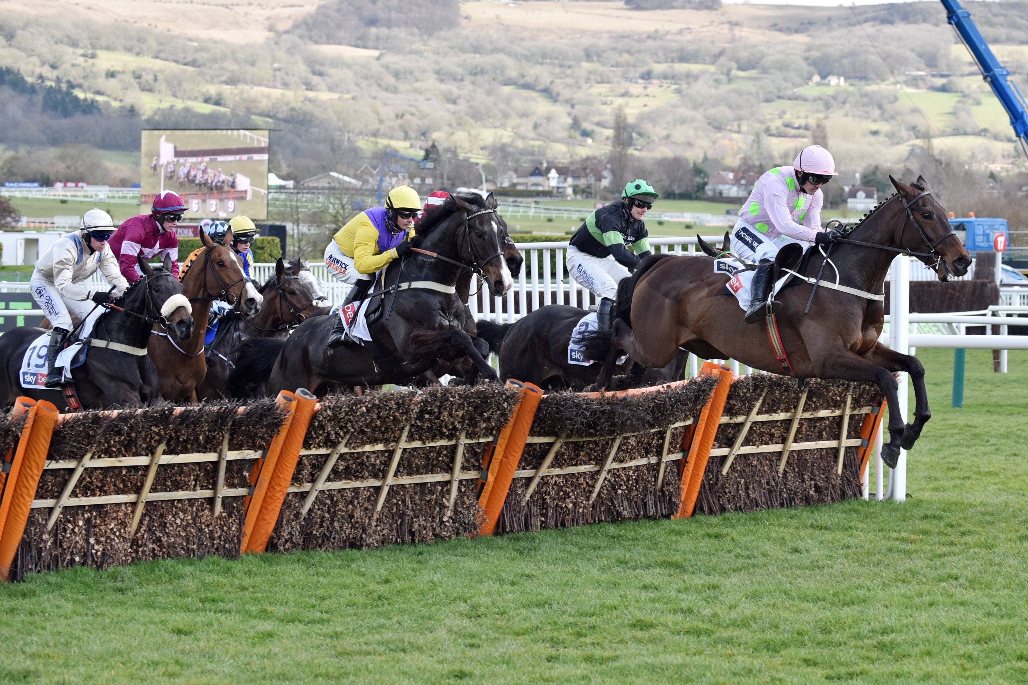 Supreme Novices' Hurdle Guide
