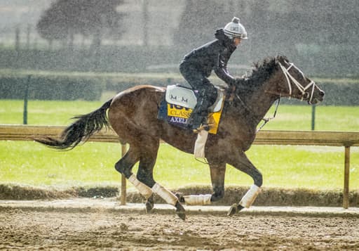 Preview to the Breeders Cup Festival image