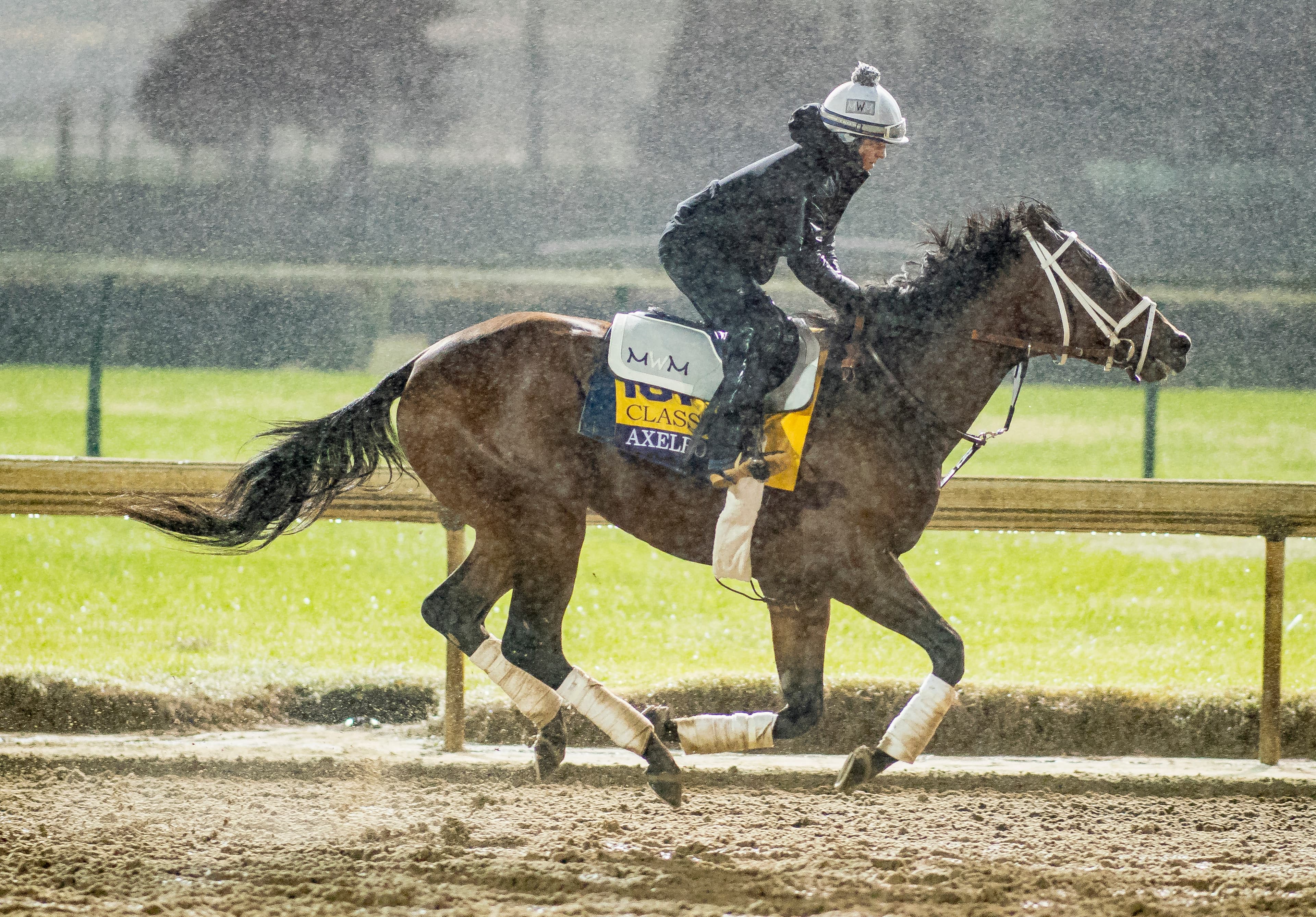 Preview to the Breeders Cup Festival