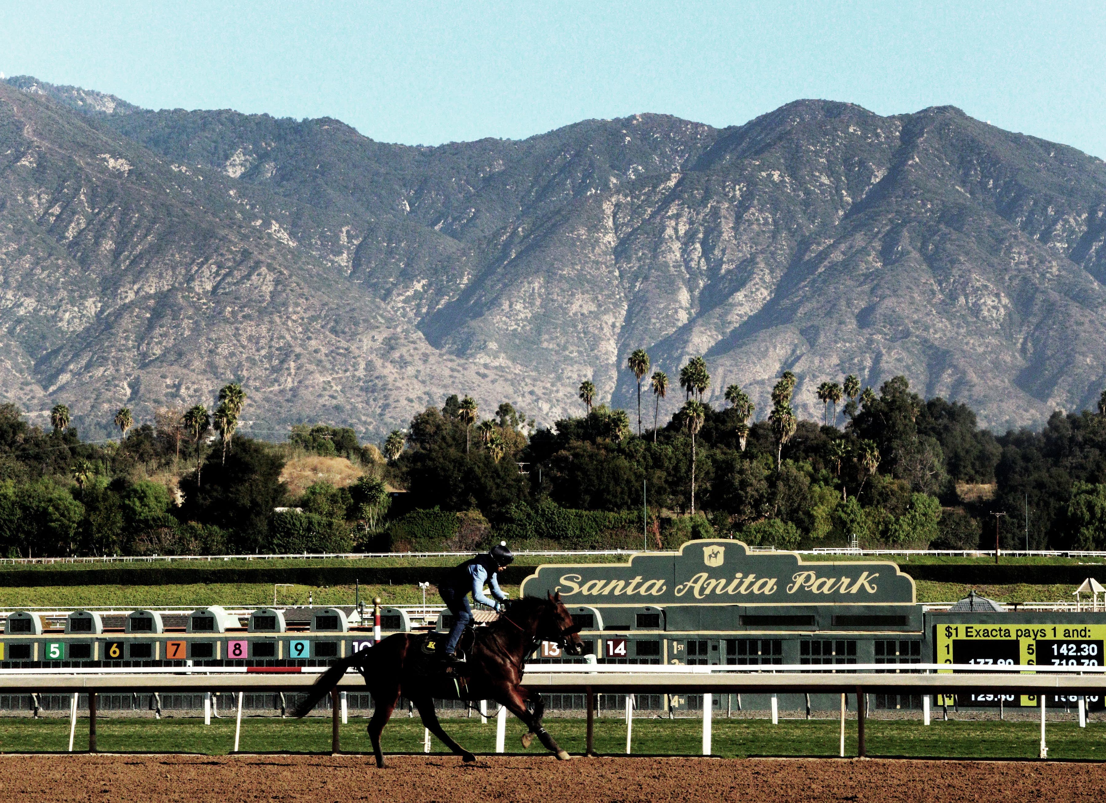 Breeders Cup Day Two Preview