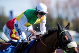 Leading Jumps Owner Trevor Hemmings To Scale Down Operations image