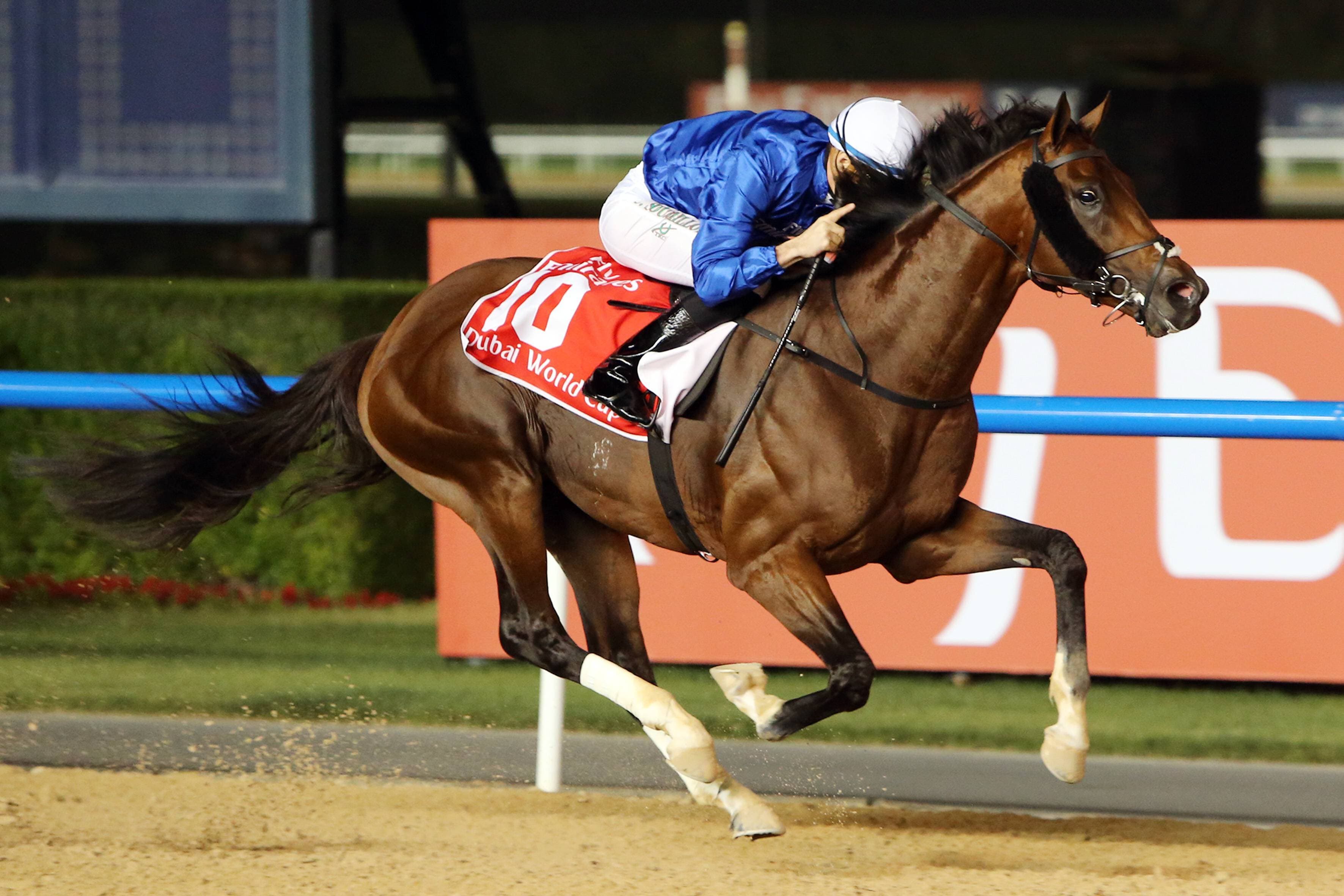 Meydan Preview