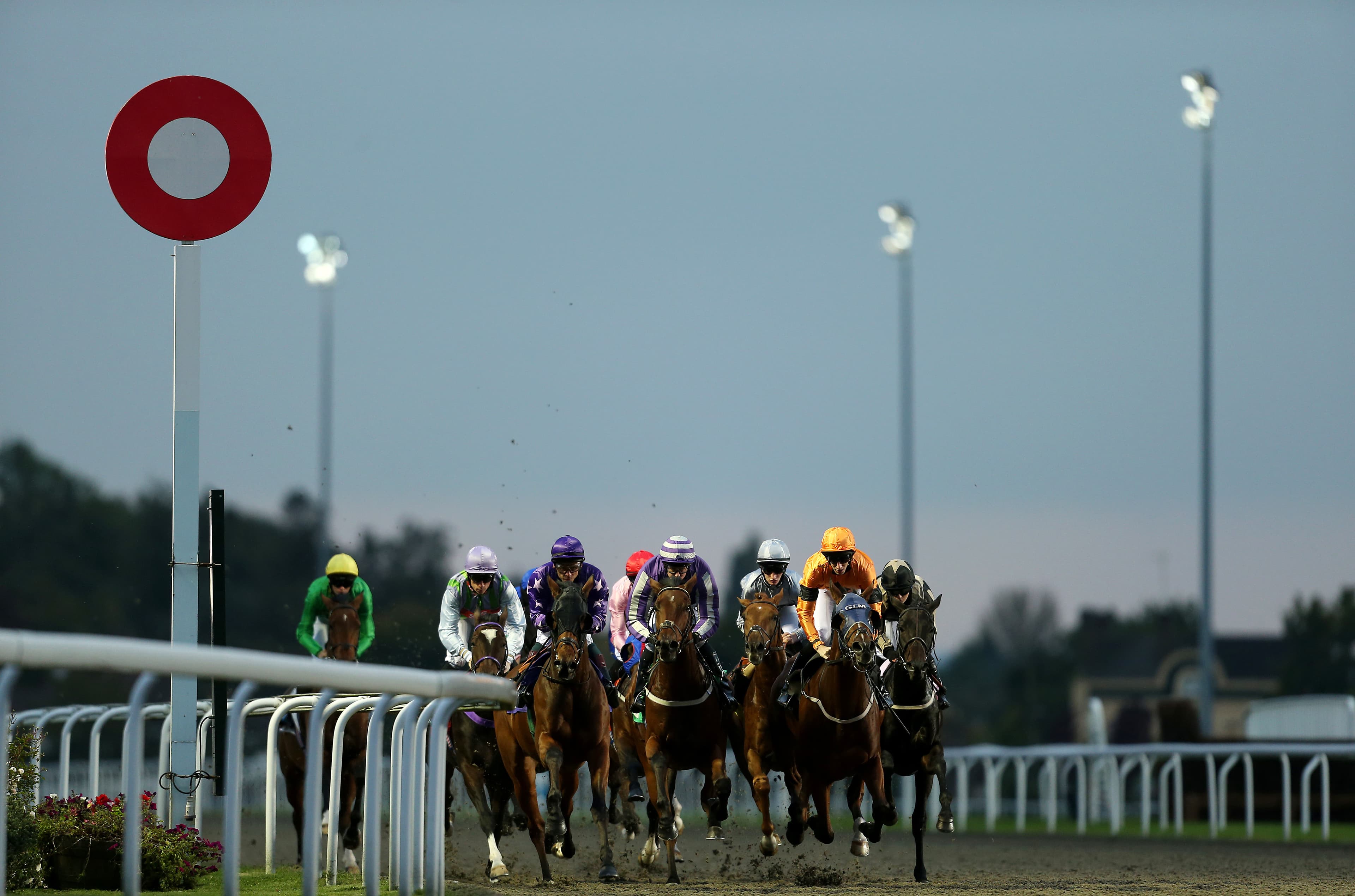 A Trainer Is Sending A Horse On A 446 Mile Round Trip