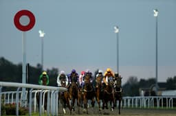 One Trainer Is Sending A Single Runner On A 536 Mile Round Trip To Kempton image