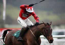 Darren Yates Removes Horses From Phil Kirby's Yard image