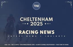 Best Free Cheltenham Bets image