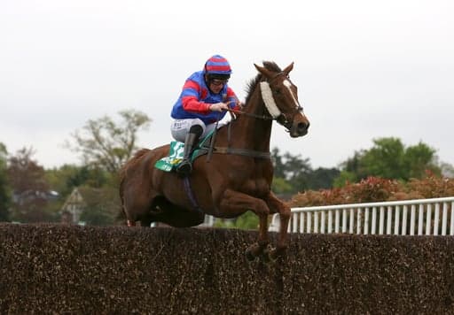 Grand National Trial Guide image
