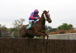 Who to follow at Sandown on Saturday image