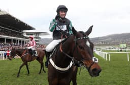 Altior image