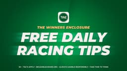 Sandown Horse Racing Tips - 13/02/2025 image