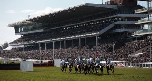 Who To Follow At Cheltenham On Sunday image