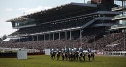Cheltenham Trials Day Preview image