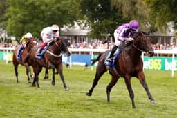 Newmarket Sunday Preview image
