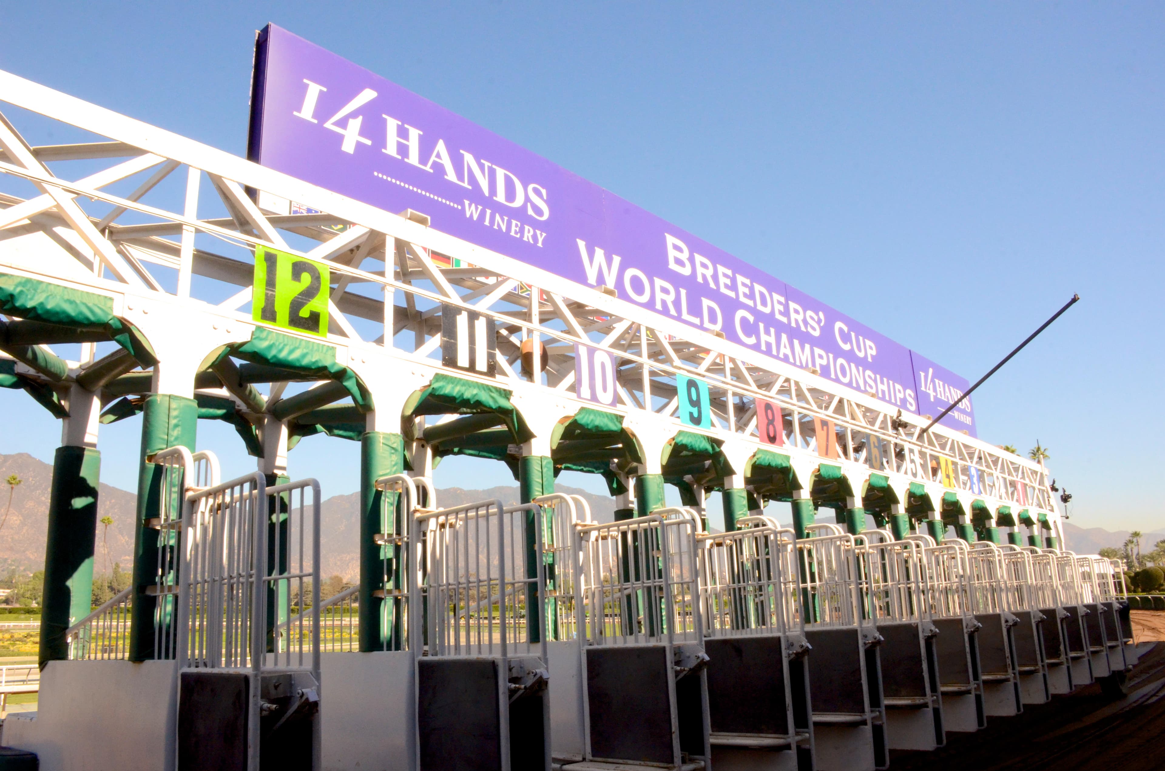 BOYLE Sports: Bet £10 Get £30 in Free Bets for ITV Racing | Tips for Friday 30th October  