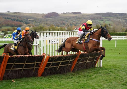 The Biggest Cheltenham Wins & Bets Ever Seen At The Festival image