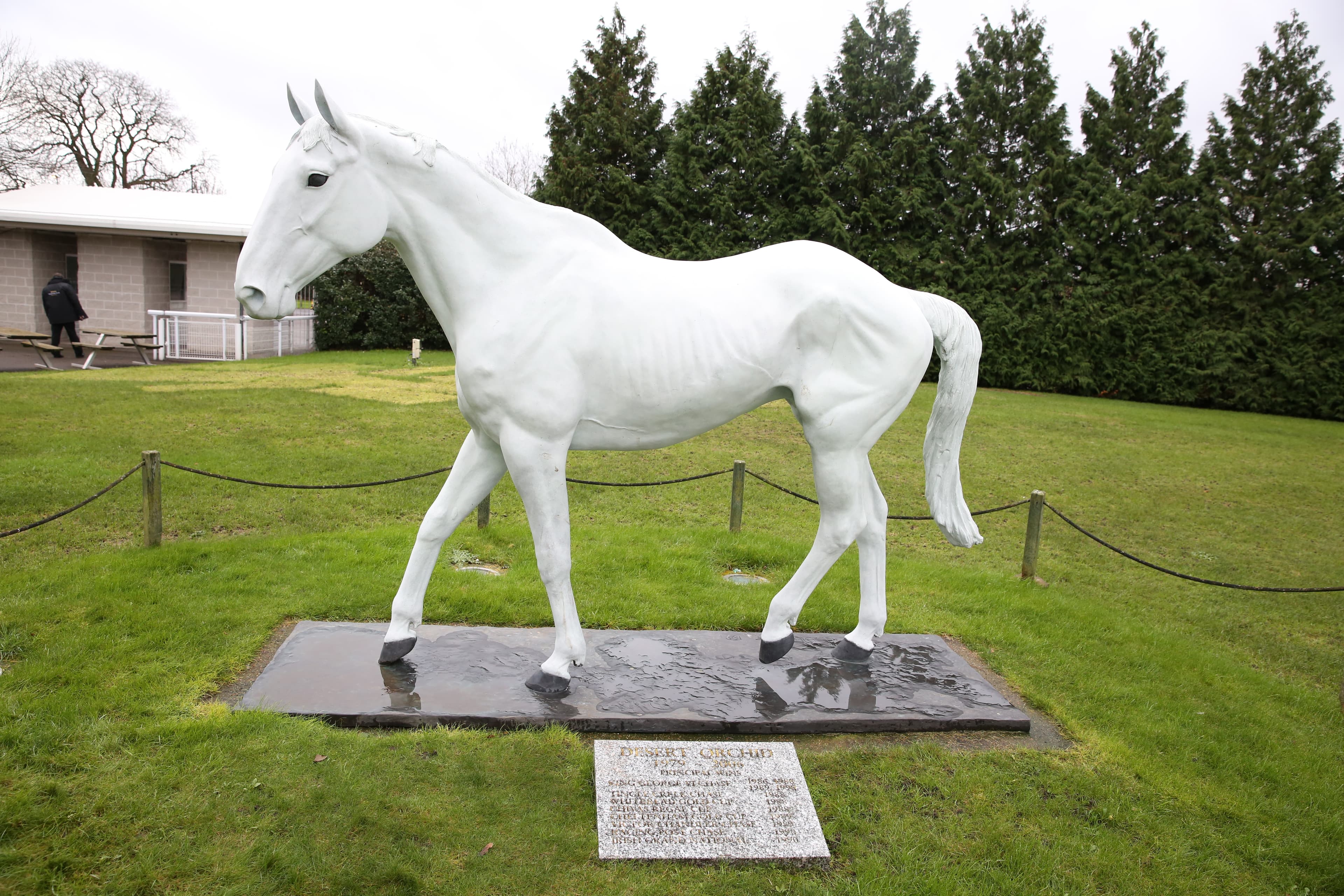 Desert Orchid vs Red Rum – Who was better?