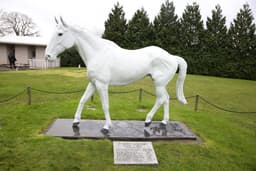 Desert Orchid vs Red Rum – Who was better? image