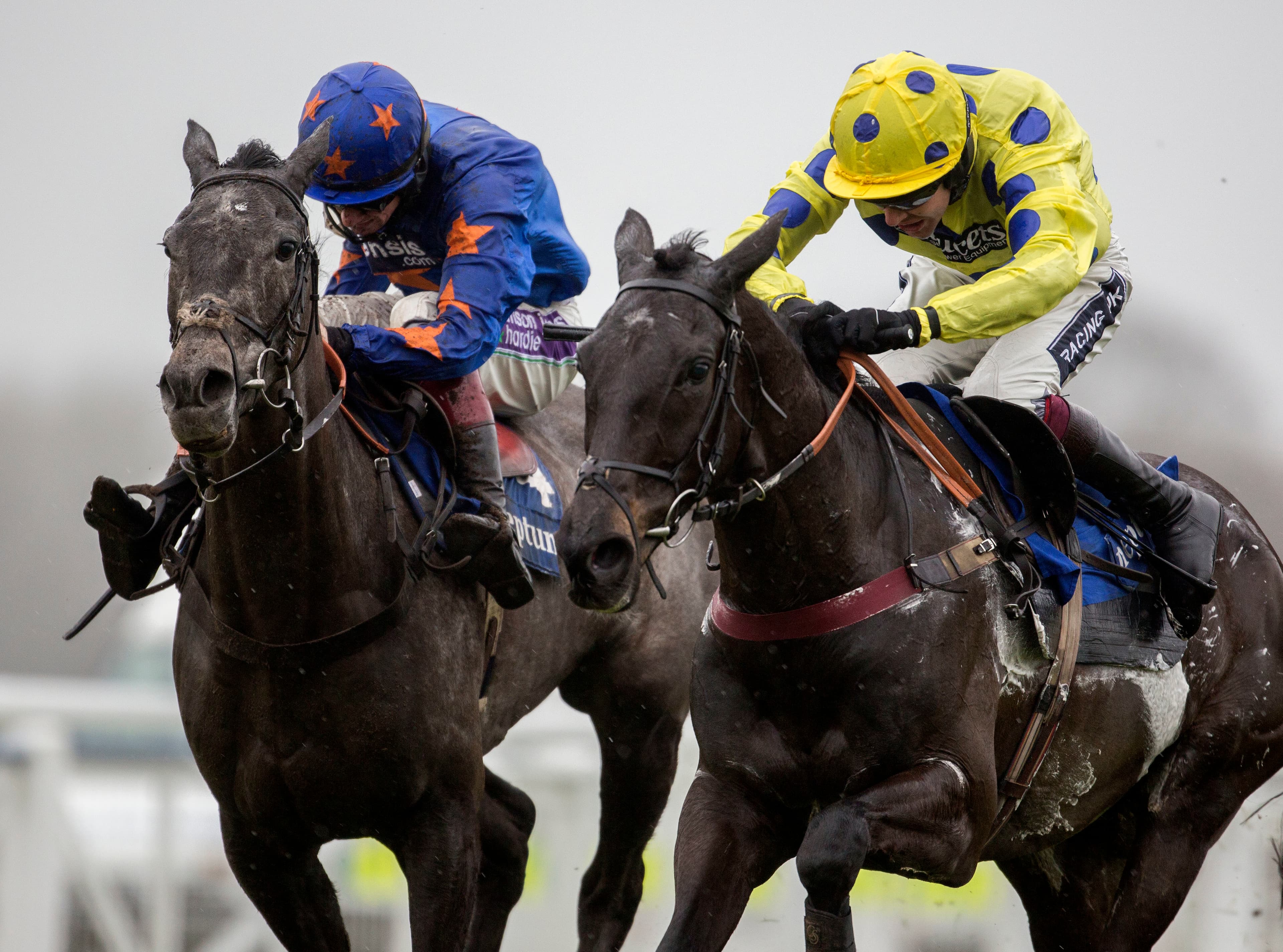 Three Horses To Follow This Weekend