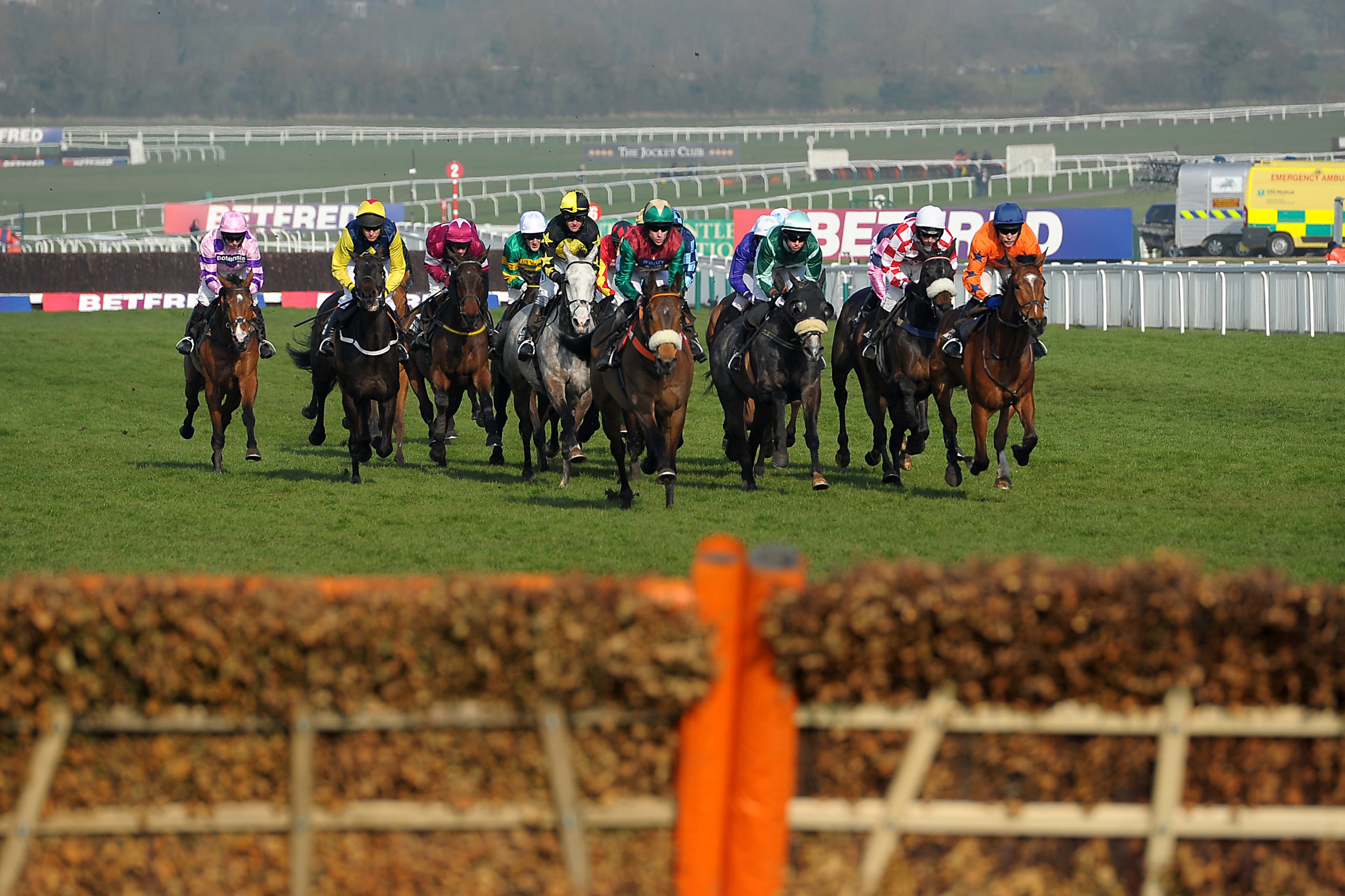 Cheltenham Festival Market Movers And Drifters From The Weekend