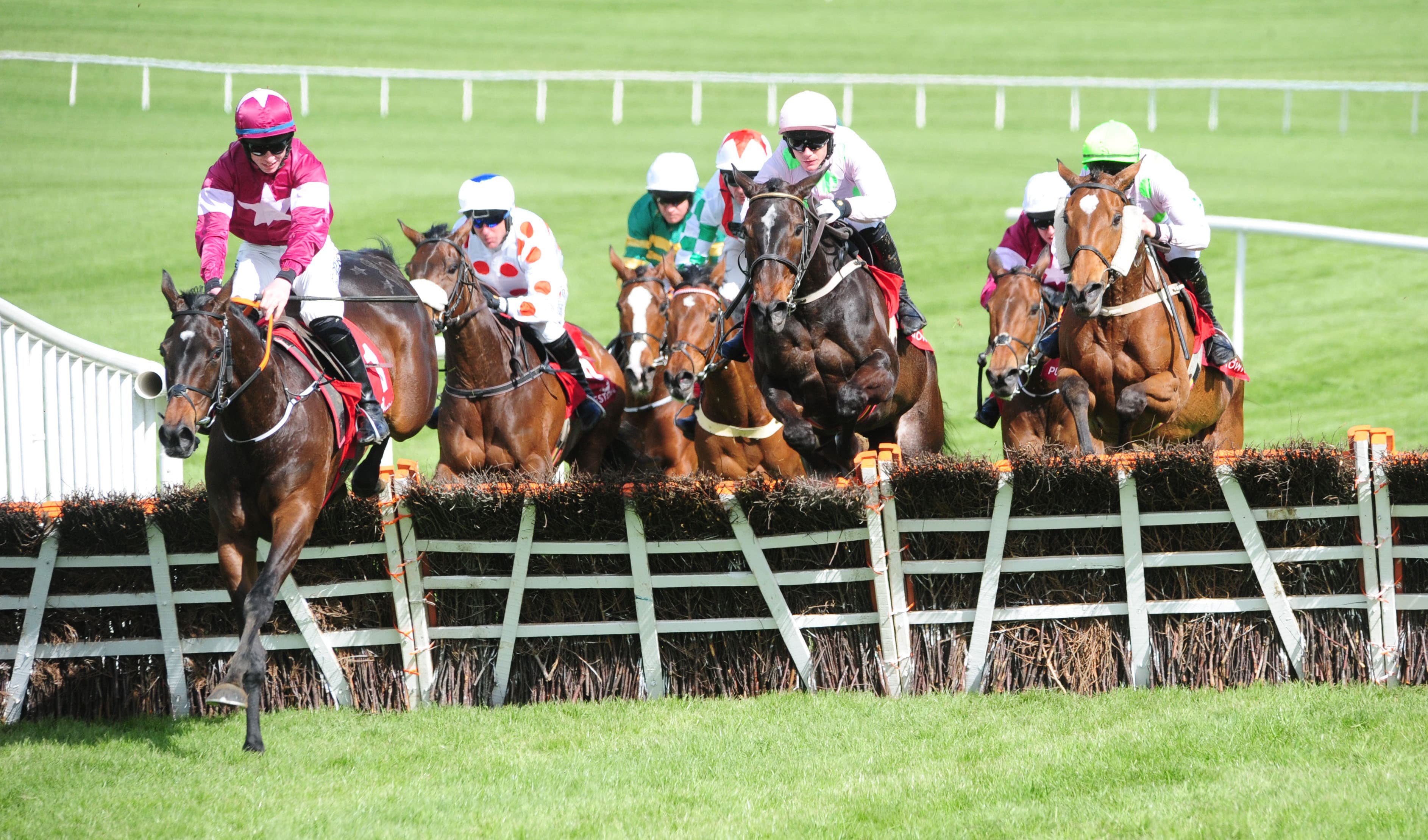 Who To Follow On Sunday?