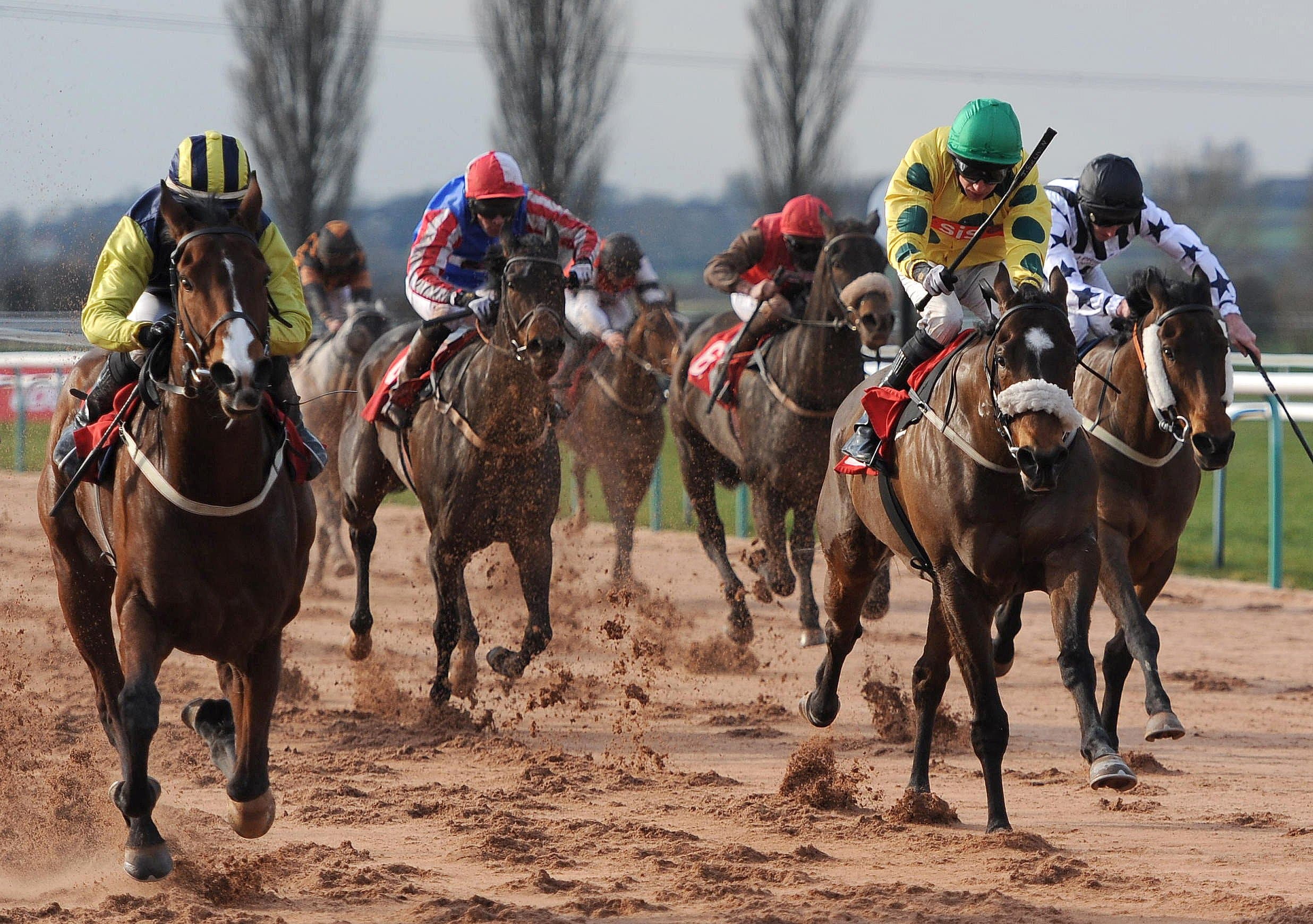 A Horse Is Being Gambled On For A Race At Southwell Tonight image