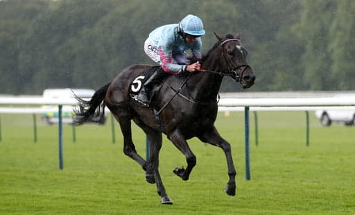 Pontefract Sunday Preview image