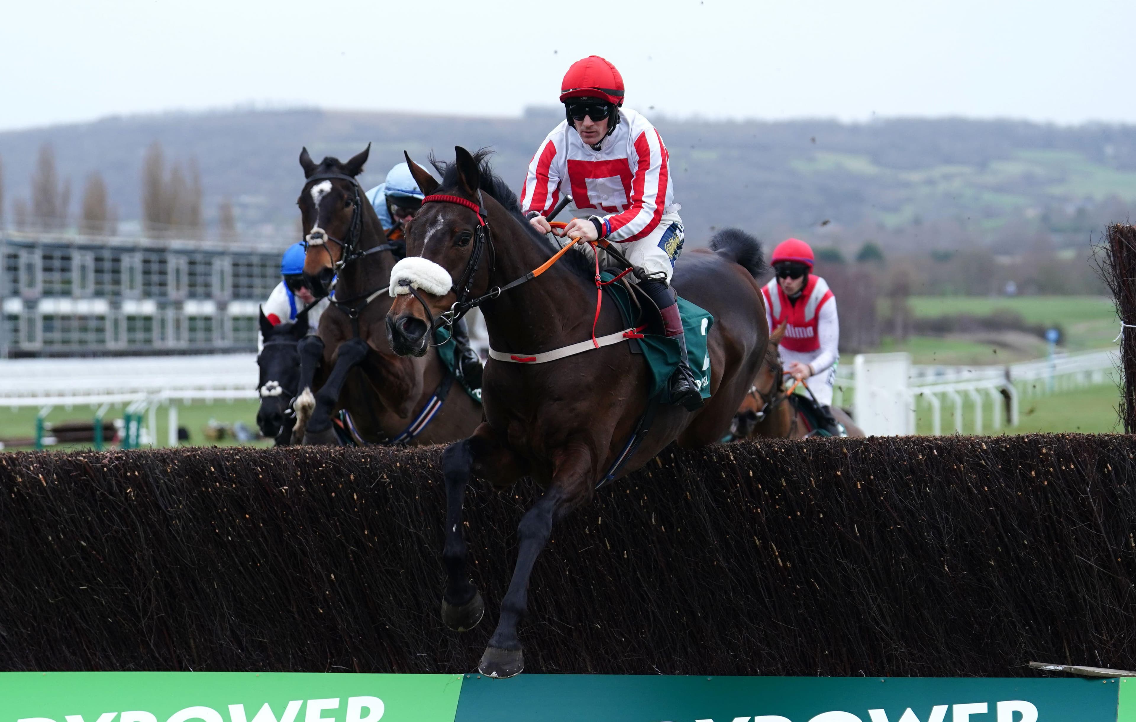 ITV Racing Tips For Today - Sunday 16th November 2025 image