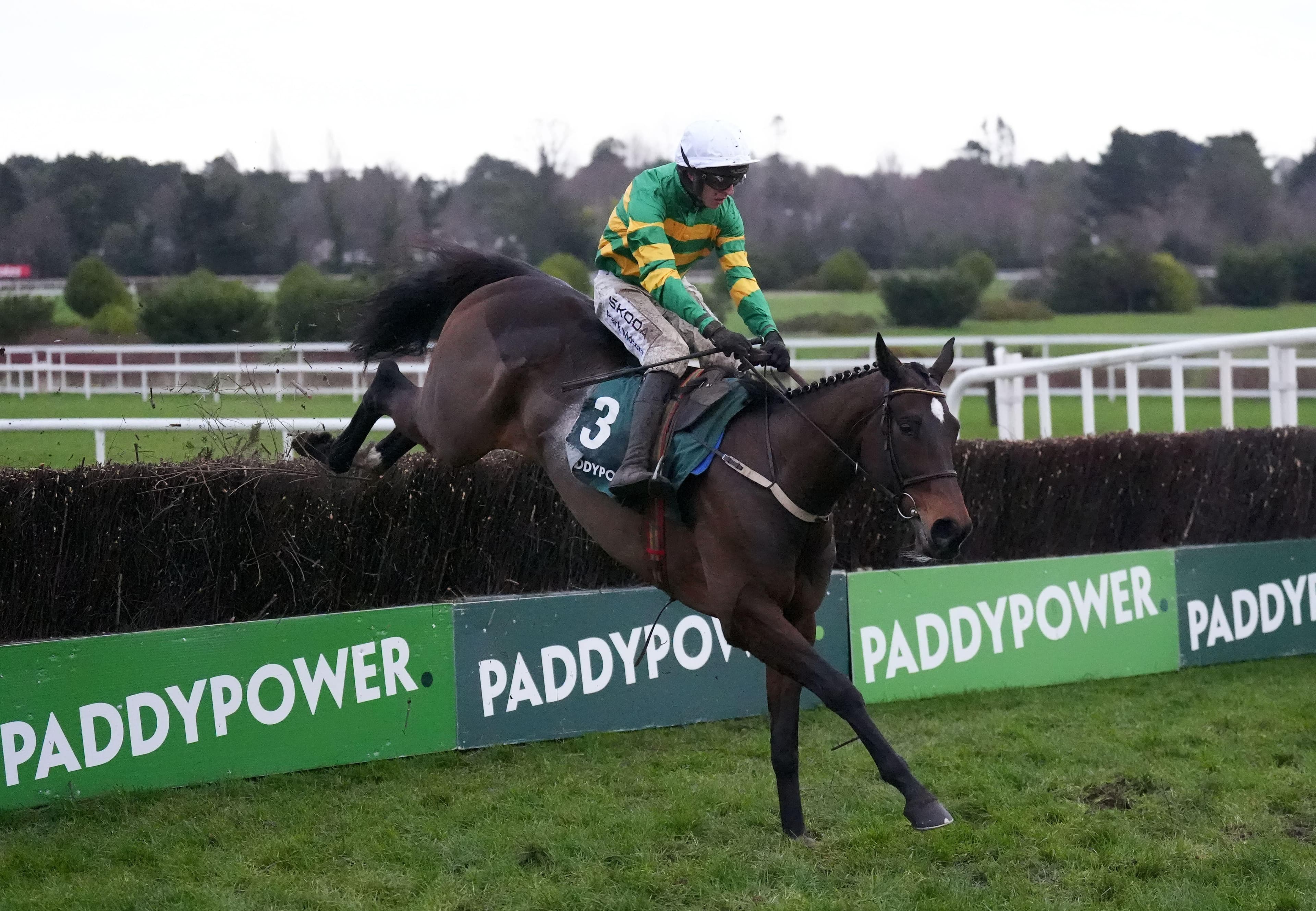 Cheltenham Tips: 35/1 Accumulator & Tips for Every Thursday Race 2026