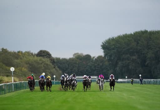 A Trainer Is Sending A Single Runner On A 200 Mile Round Trip To Nottingham image