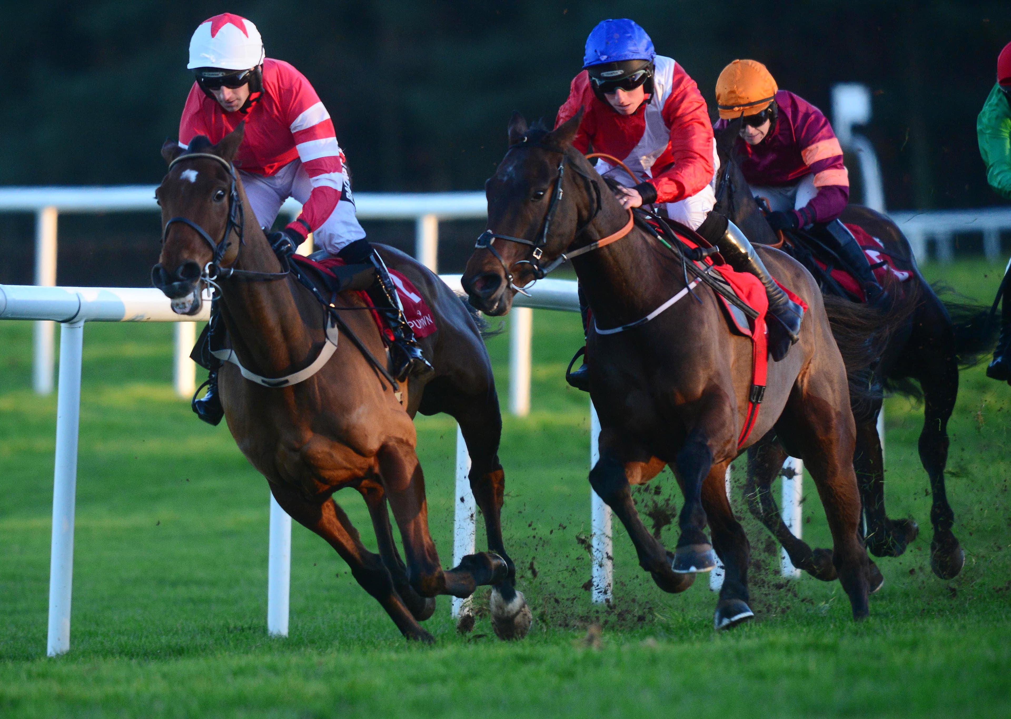 Quilixios Team To Make Late Decision On Festival Target