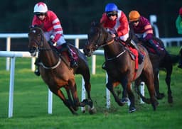 Quilixios Team To Make Late Decision On Festival Target image