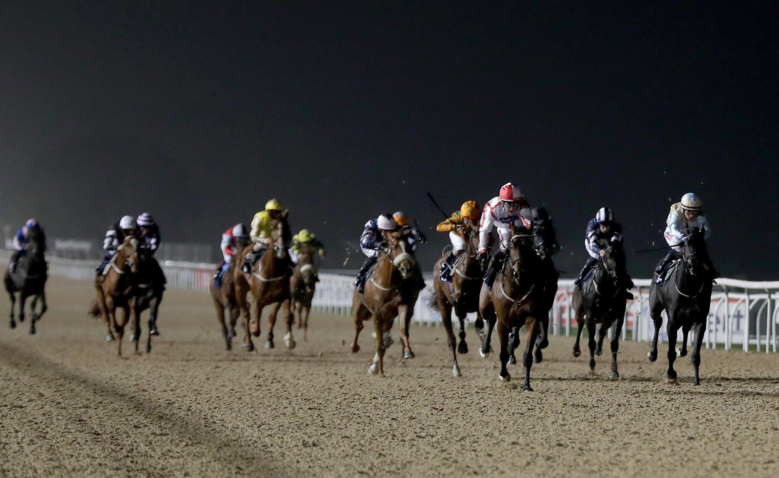 A Trainer Is Sending A Runner On A 568 Mile Round Trip To Newcastle image