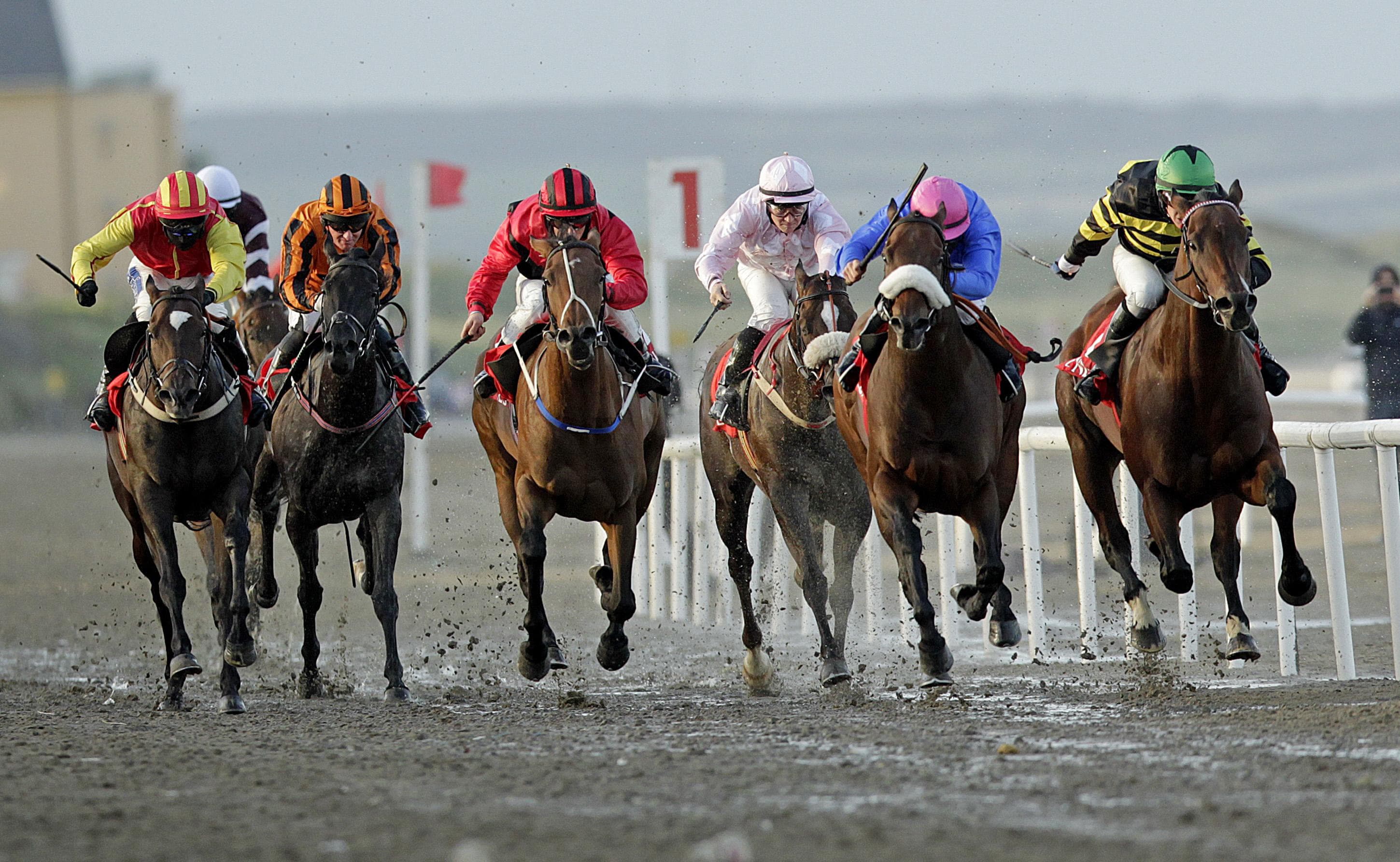 Three To Follow At Dundalk Tonight