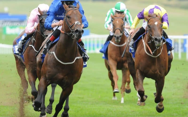 Newmarket Wednesday Preview - 17/04/2019