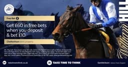 Get A Completely Free Bet for Day 1 of Cheltenham! William Hill’s Free Cheltenham Bet Offer image