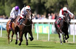 Who to follow at Newmarket on Saturday image