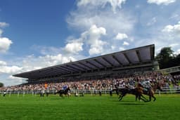 Group Three Solario Stakes Sandown Guide 2024 image