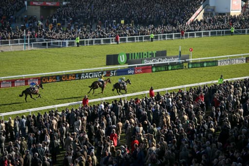 Christmas Hurdle Runner by Runner Guide image