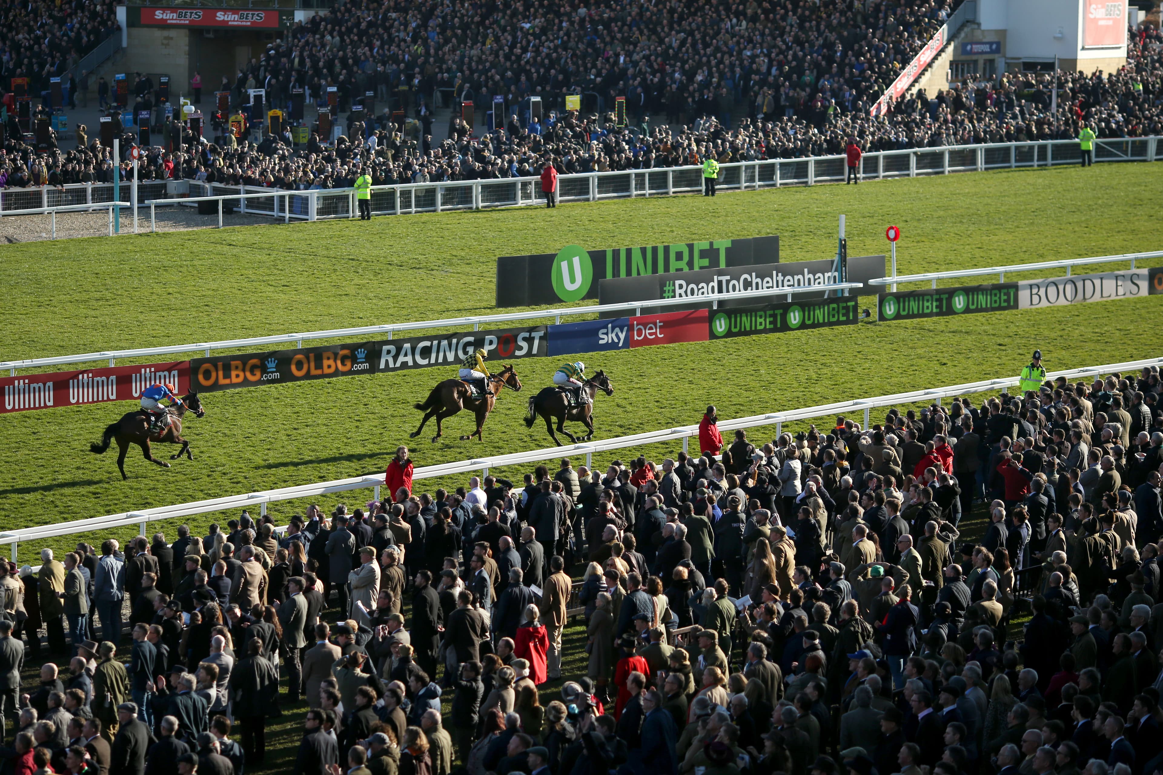 Christmas Hurdle Runner by Runner Guide