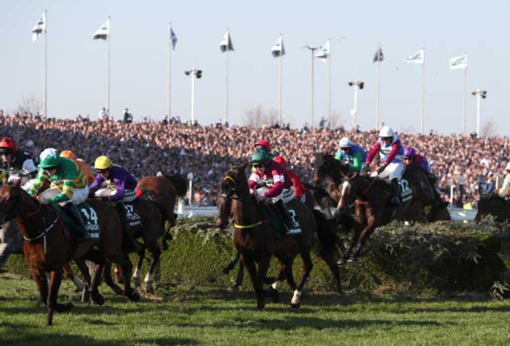 Grand National Festival Jump