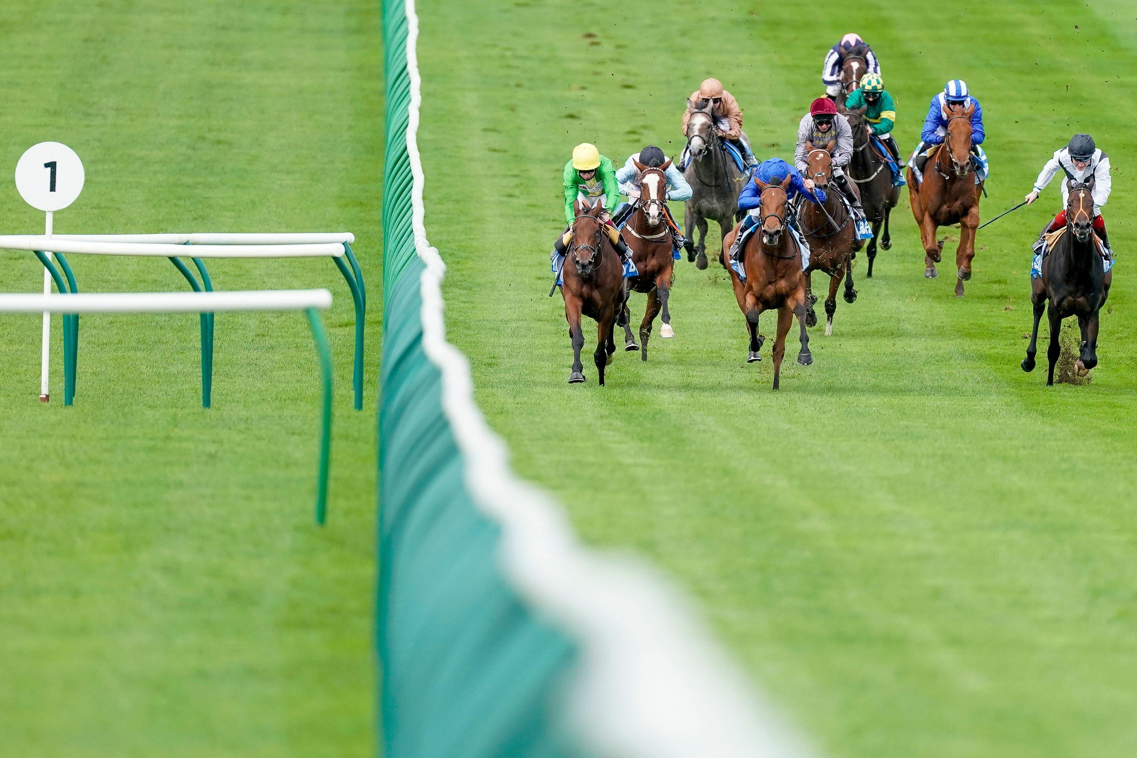 ITV Racing Tips for Today - Friday 10th October  image