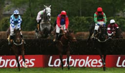 Punchestown Saturday Preview image