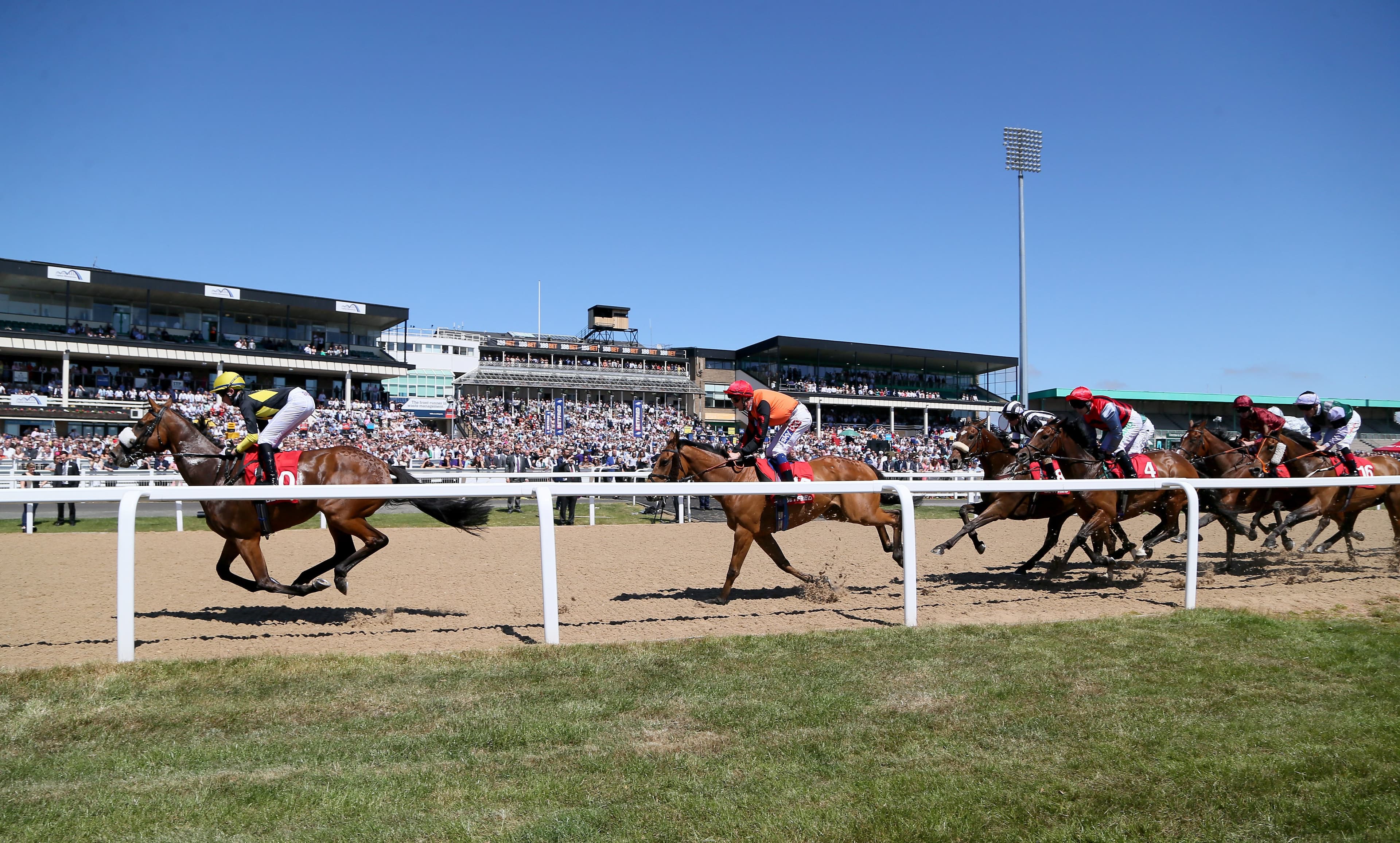 One Trainer Is Sending One Runner On A 600 Mile Round Trip Today image