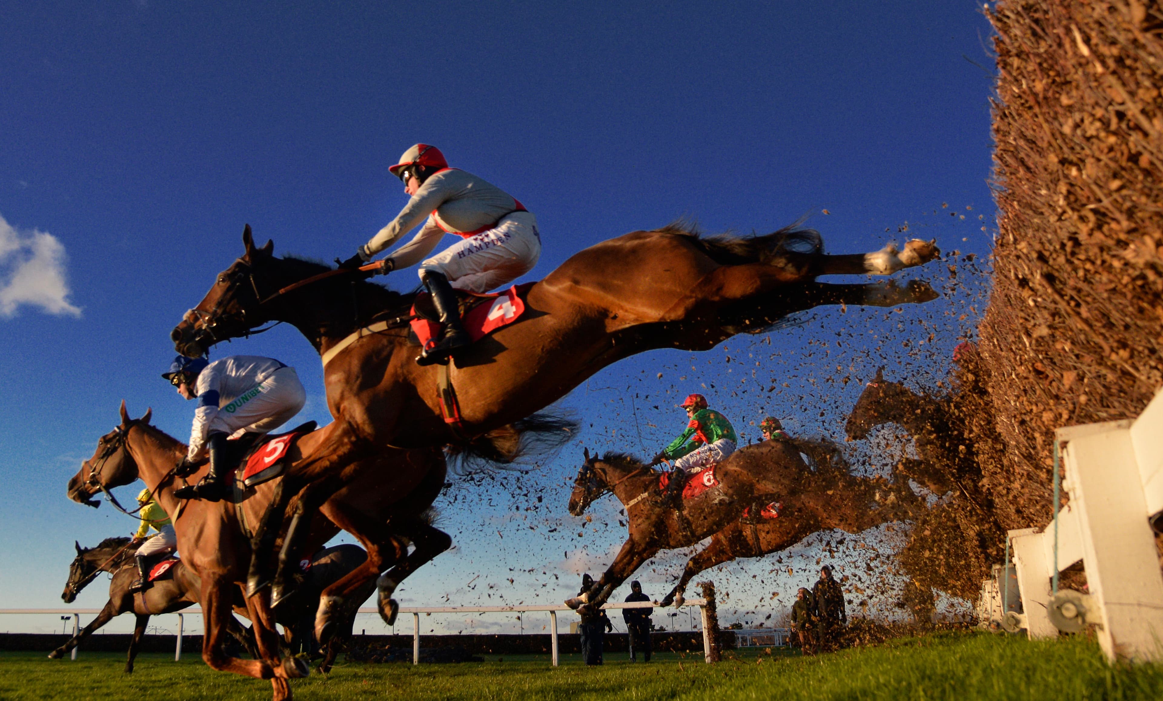 One Trainer Is Sending One Horse On A 410 Mile Round Trip 