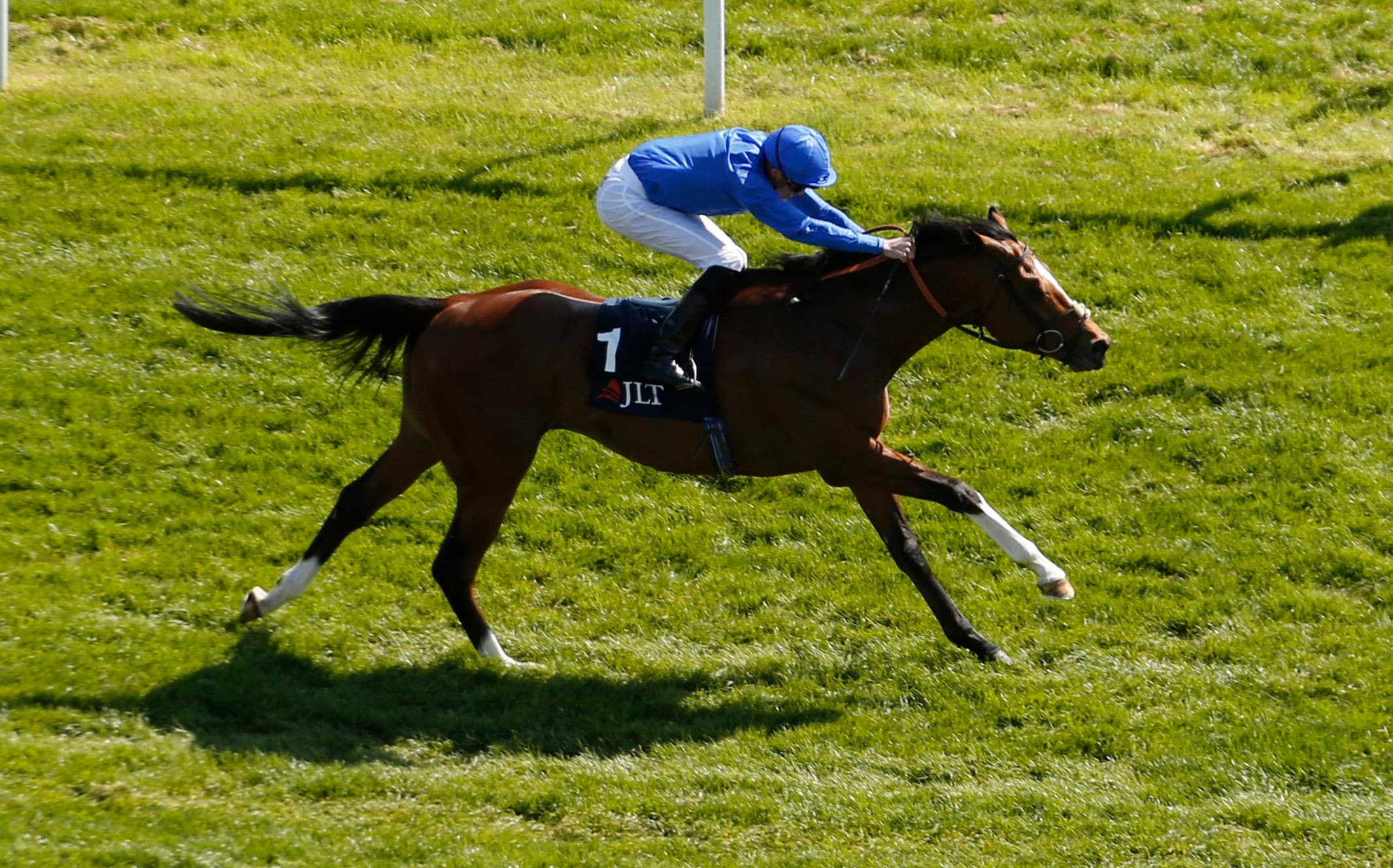 Who To Follow At Newmarket On Thursday